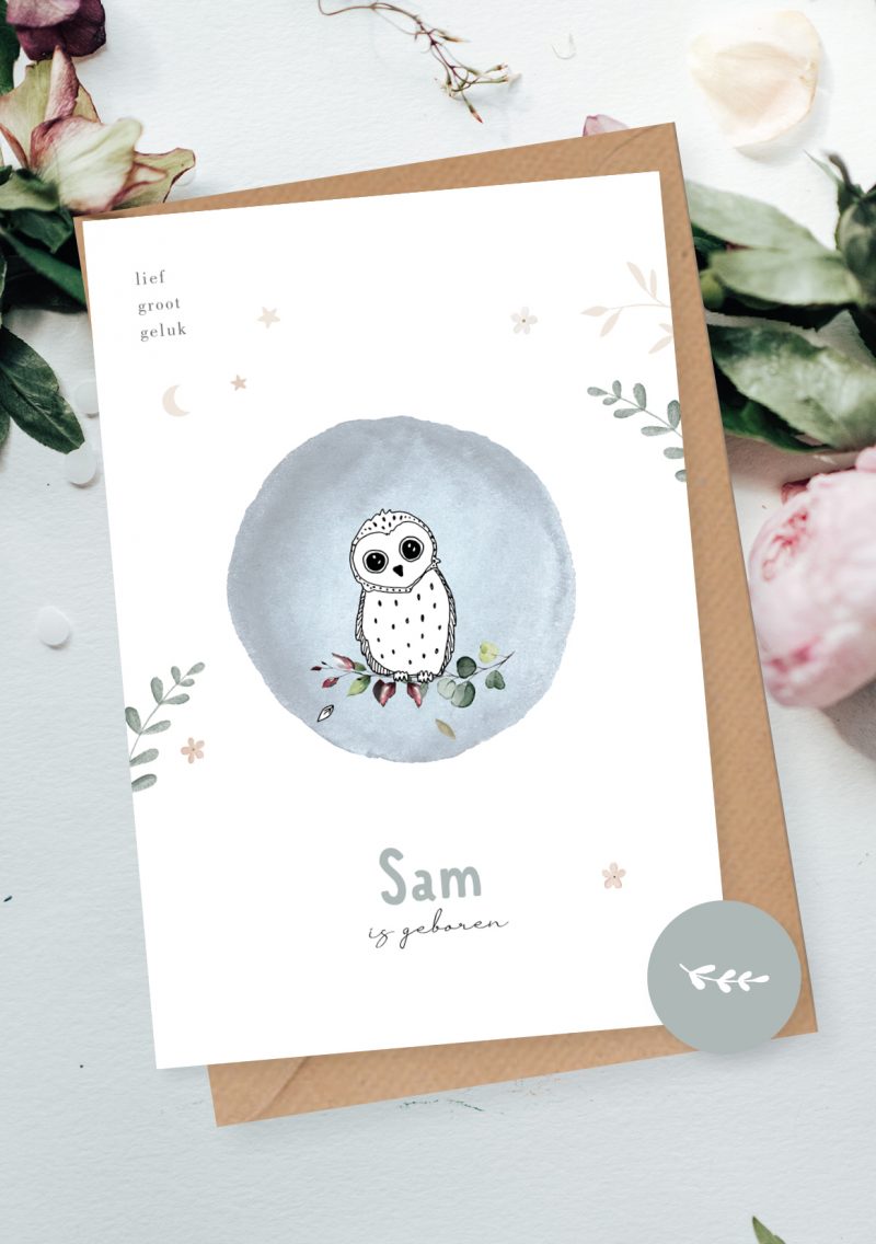Geboortekaartje Little love Owl