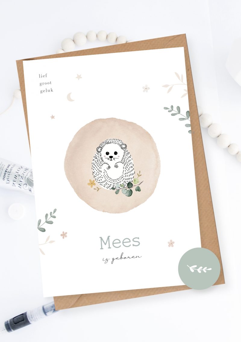 Geboortekaartje Little love Hedgehog
